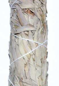 9" White Sage smudge stick