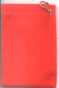 Red Velveteen Bag