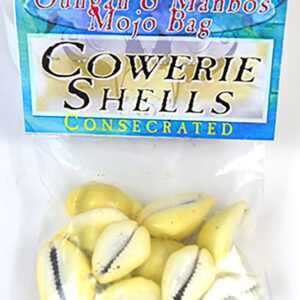 Cowrie Shells (Concha De Caliri) consecrated