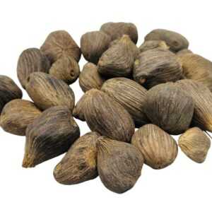 1# Ikin 3 Eyes (Palm Oil Seed)