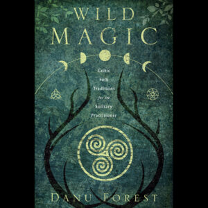 Wild Magic by Danu Forest