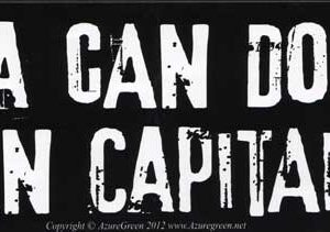 America Can Do Better Than Capitalism bumper sticker