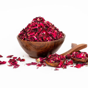 Red Rose Bud and Petals