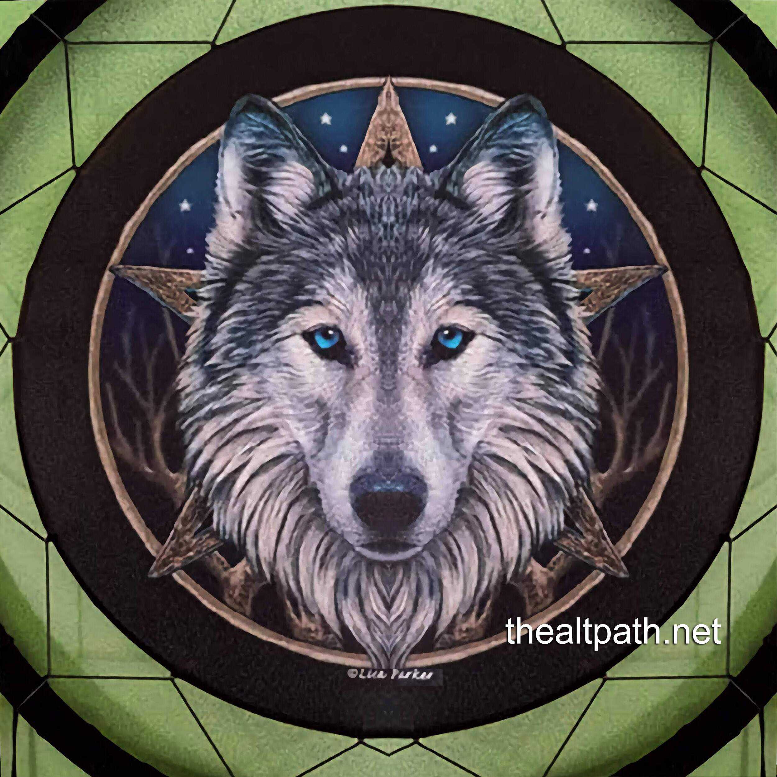 wolf dream catcher