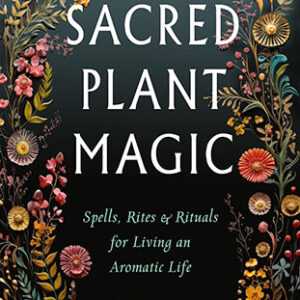 Blackthorn's Sacred Plant Magic by Amy Blackthorn