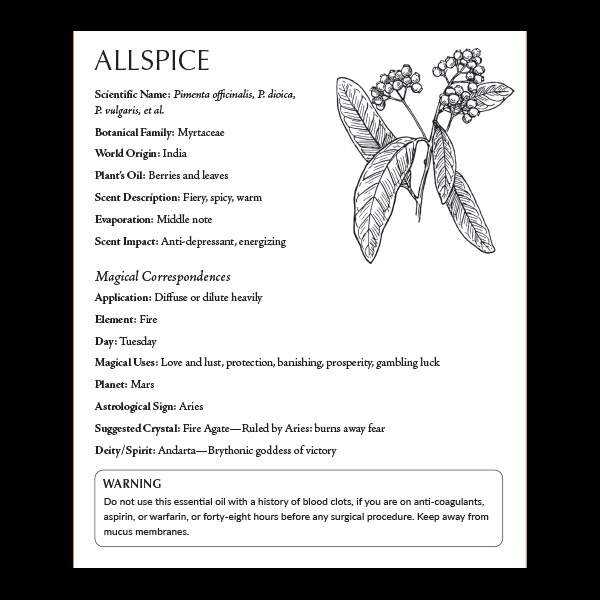horn’s Sacred Plant Magic Allspice 1