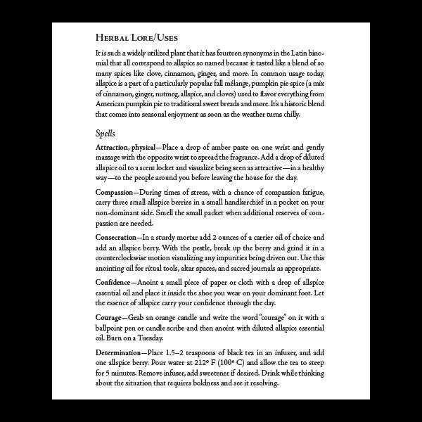 Blackthorn’s Sacred Plant Magic Allspice 2