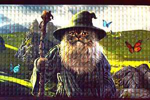 17 5/8" x  19 1/2" Catdolf doormat