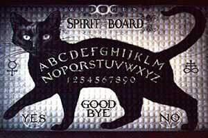 17 5/8" x  19 1/2" Cat Spirit doormat