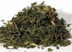 Nettle "Stinging)"Leaf Cut 2oz  (Urtica dioica)