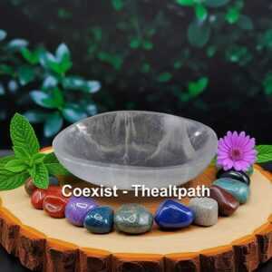 7-8 inch Selenite altar bowl