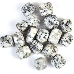 1 lb Jasper, Dalmation tumbled stones