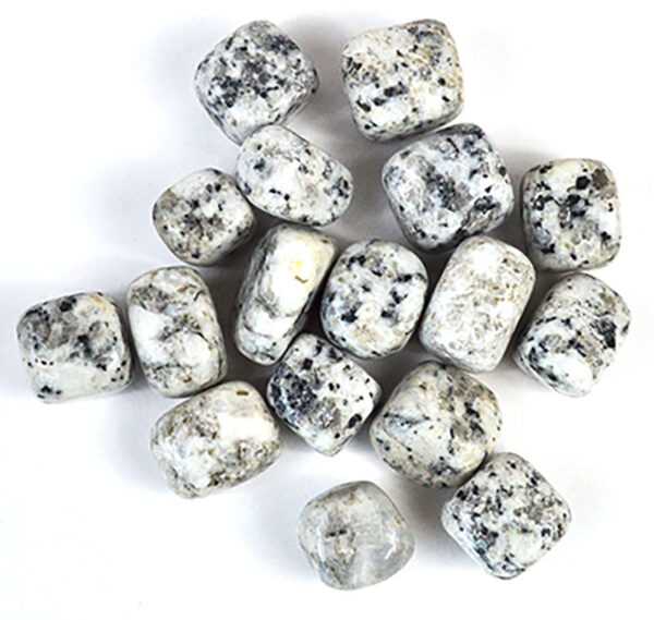 1 lb Jasper, Dalmation tumbled stones