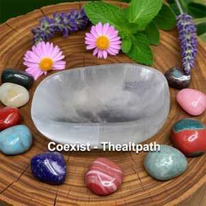 Selenite Bowl 4-5 Inch