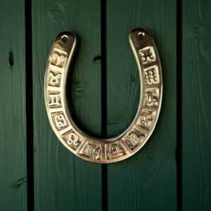 good luck zodiac horseshoe