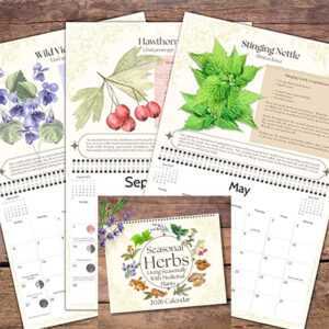 2026 Seasonal Herbs calendar