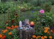 Garden magic and the fae