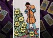 the seven of pentacles