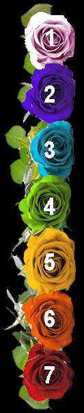 chakra energy centers aura energy