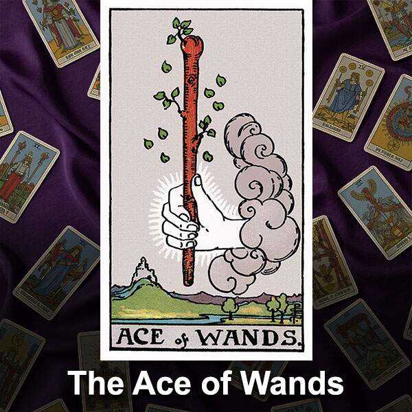 the ace of wands free tarot lessons the ace of wands free tarot lessons