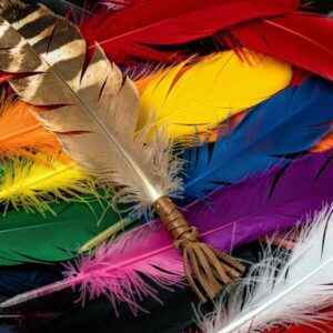 Smudge Feathers and Accessories