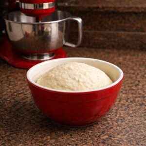 pizza dough for seed bread or garlic knots