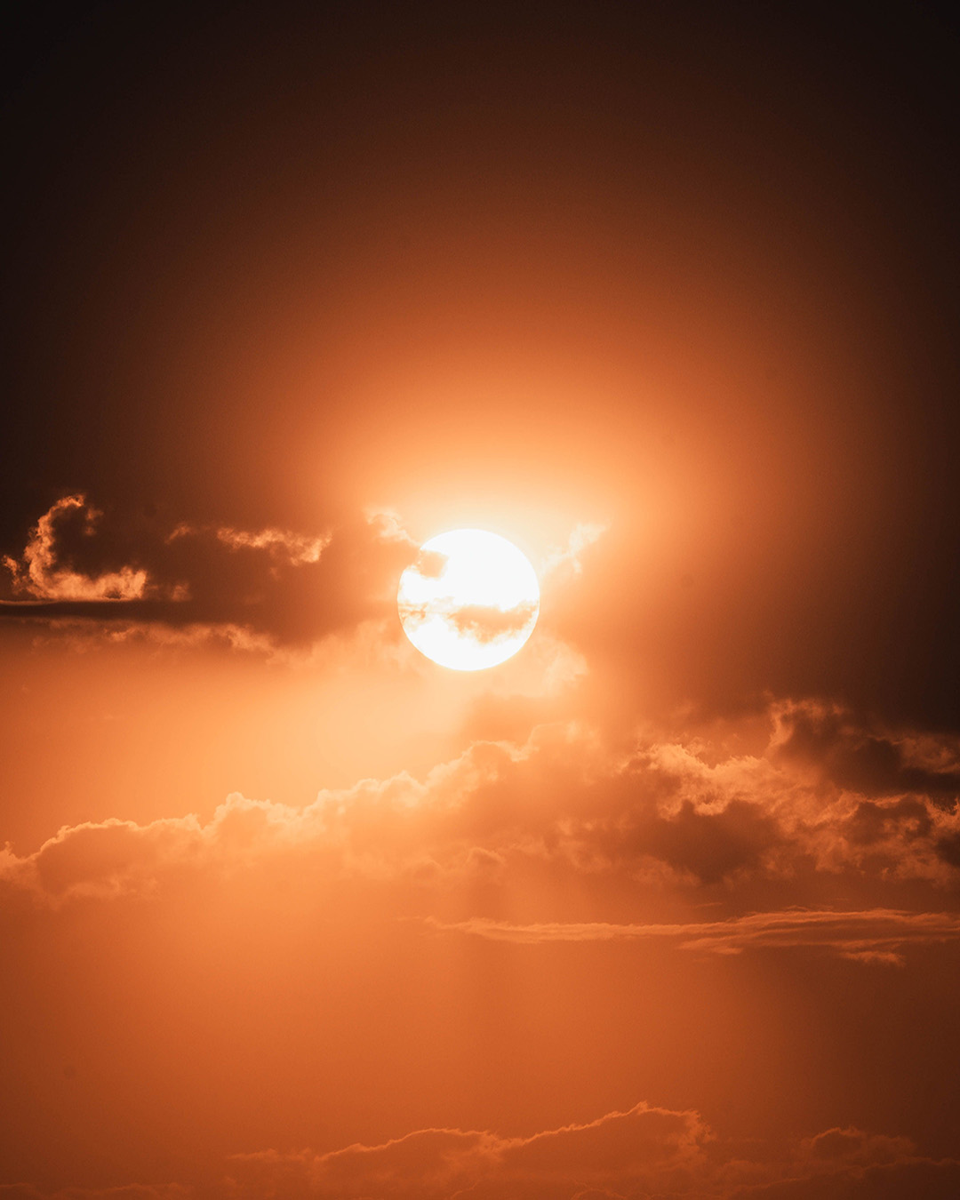 Litha Summer Solstice