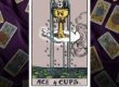 The Ace of Cups Learn Tarot