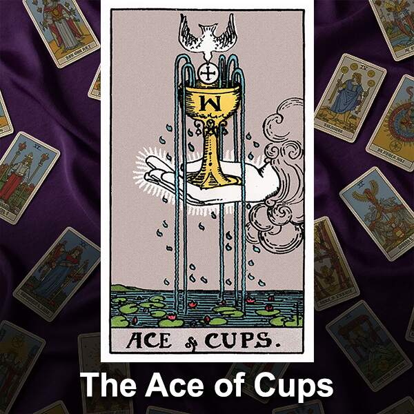 The Ace of Cups Learn Tarot